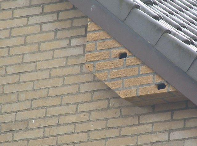 Gierzwaluwnestkast
